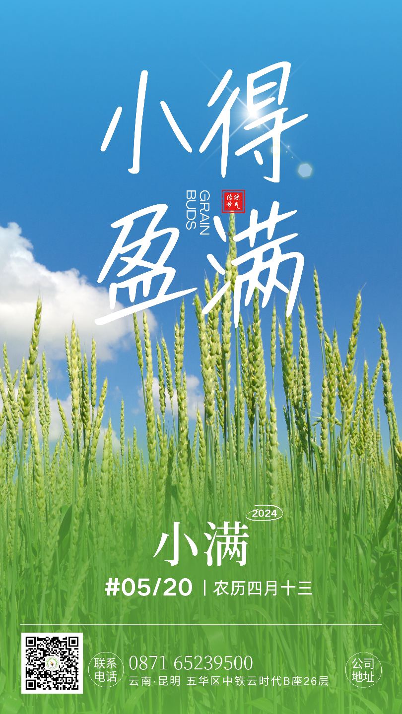 小满节气海报2.png