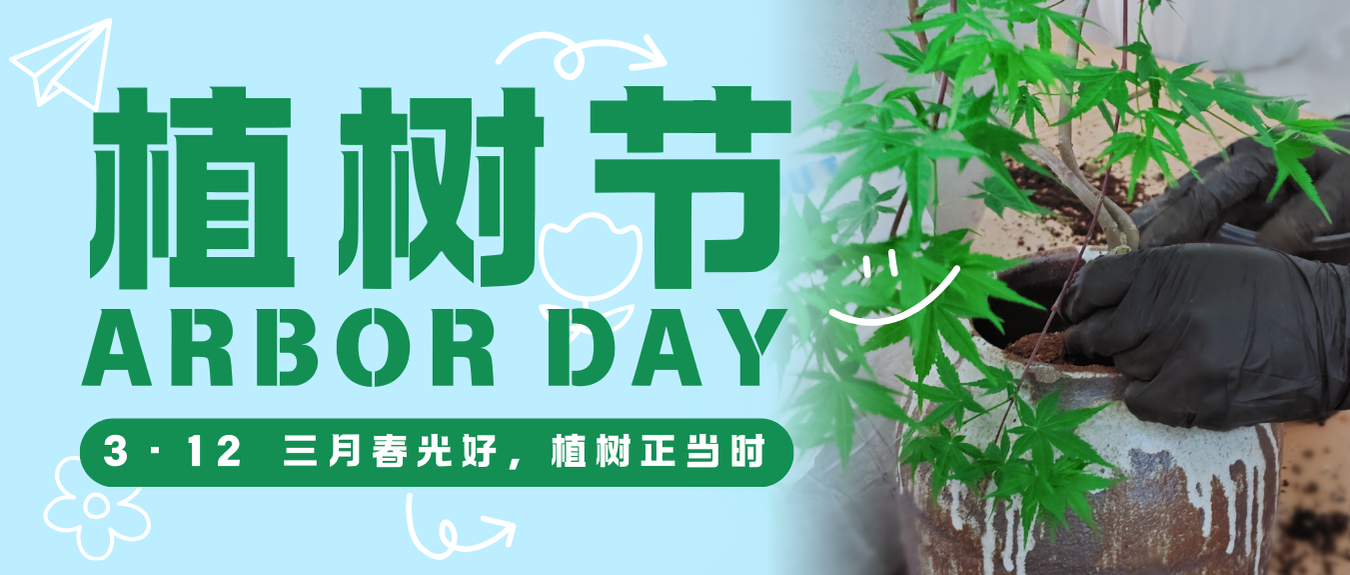 植树节 | 三月春光好，植树正当时